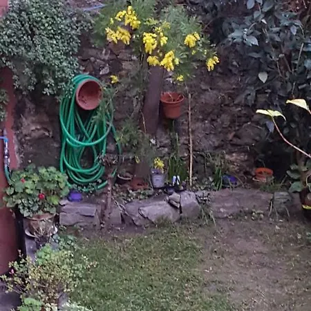 Il Verde E Il Silenzio In Centro Citta * 제노바