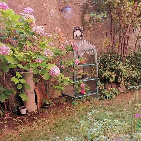 Il Verde E Il Silenzio In Centro Citta 홈스테이 제노바