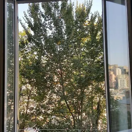 Il Verde E Il Silenzio In Centro Citta