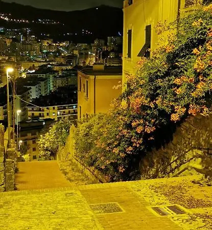 Il Verde E Il Silenzio In Centro Citta Genua