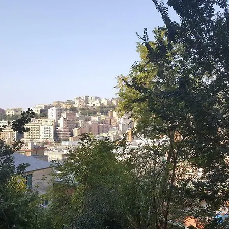 Il Verde E Il Silenzio In Centro Citta